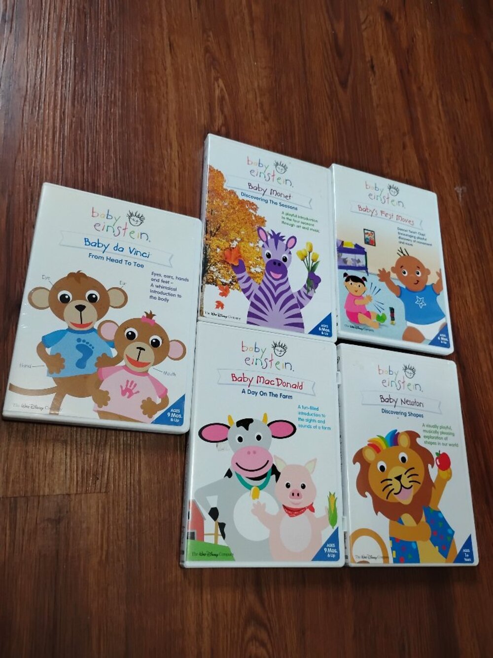 Disney Baby Einstein DVD Lot (5)